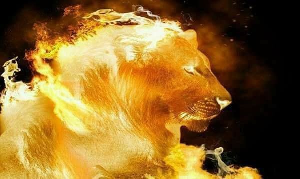 lion-on-fire.jpg